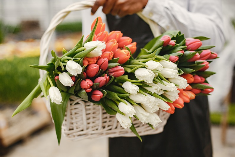 Flowers delivery Yerevan
