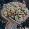 flower shop yerevan