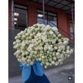 Flowers delivery Yerevan