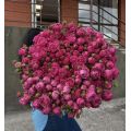 Flowers delivery Erevan