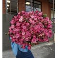 Flowers delivery Erevan