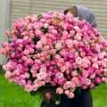 flowers armenia