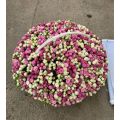Flowers delivery Yerevan