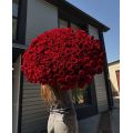 Flowers delivery Armenia
