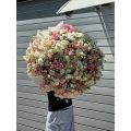 Flowers delivery Yerevan