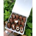 strawberry in chocolate yerevan