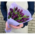 25 фиолетовых тюльпанов