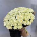 101 սպիտակ վարդեր