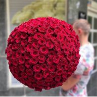 151 վարդ երևան