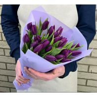 25 մանուշակագույն կակաչներ