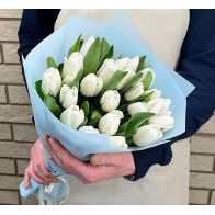 25 սպիտակ կակաչներ