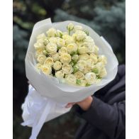 սպիտակ պիոնանման վարդեր