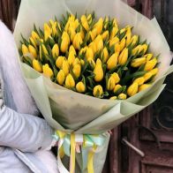 101 դեղին կակաչներ