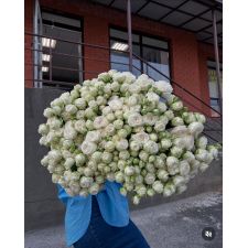 Flowers delivery Yerevan