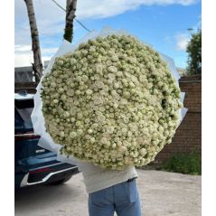 Flowers delivery Yerevan