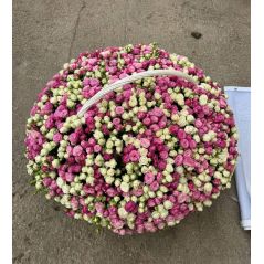 Flowers delivery Yerevan