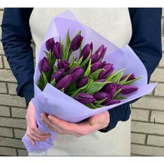 25 фиолетовых тюльпанов