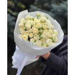 սպիտակ պիոնանման վարդեր