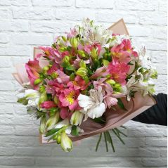 alstroemeria armenia