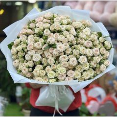 spray roses armenia