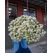 Flowers delivery Yerevan