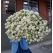 Flowers delivery Yerevan