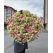 Flowers delivery Armenia