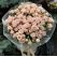 florist armenia