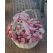 Flowers delivery Yerevan