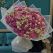 Flowers delivery Yerevan