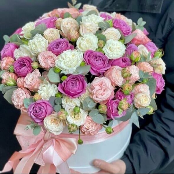 Pione-roses Yerevan