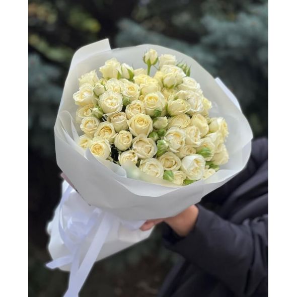 սպիտակ պիոնանման վարդեր