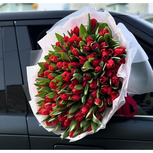 101 կարմիր կակաչներ