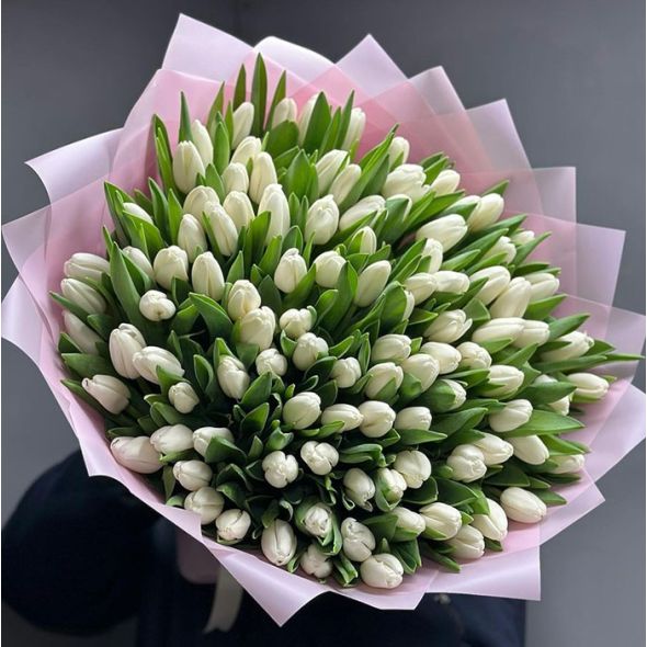 ​101 white tulips​ armenia