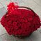 basket 101 rose yerevan