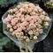 florist armenia