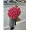 101 roses armenia