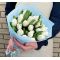 25 white tulips