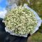 white peony roses yerevan